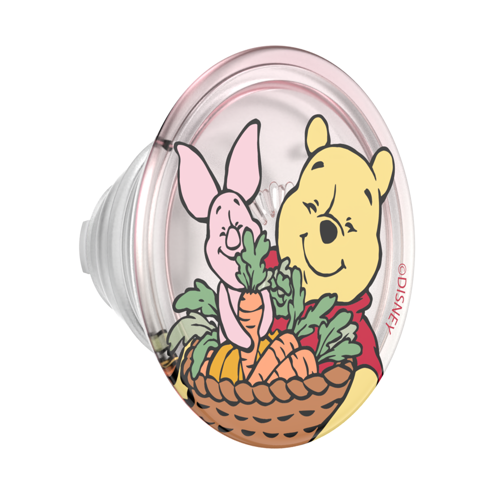 Harvest Friends — MagSafe PopGrip - US 61392