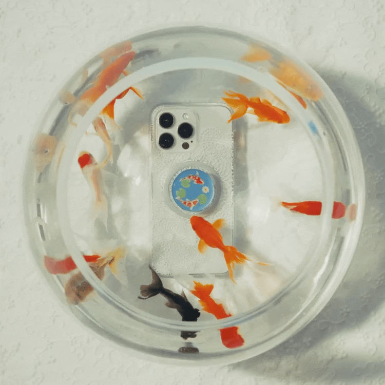 Koi Pond — MagSafe PopGrip - US 80179