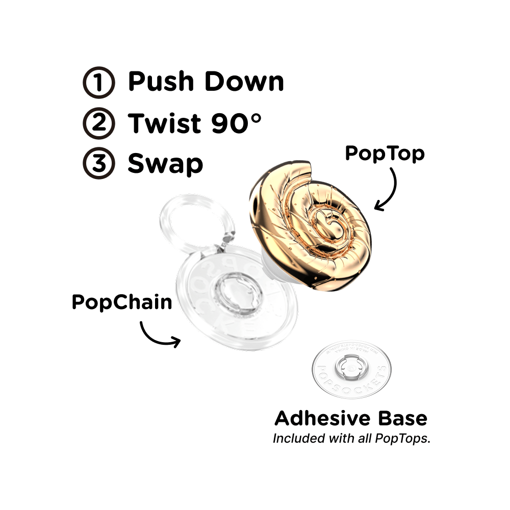 Enamel Nautilus Shell — PopTop - US 02115