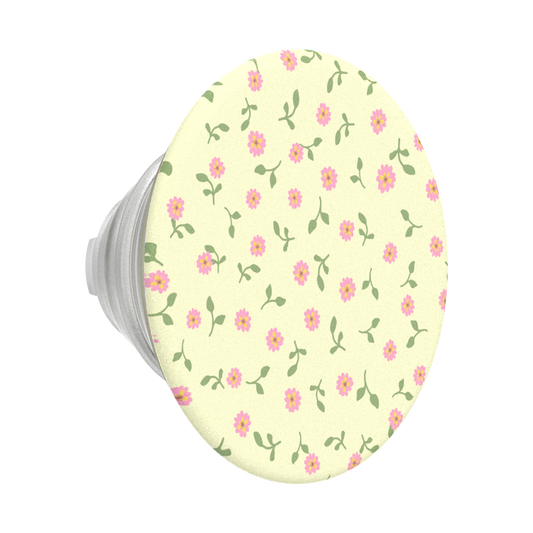 Dainty Prairie — PopTop - US 18917