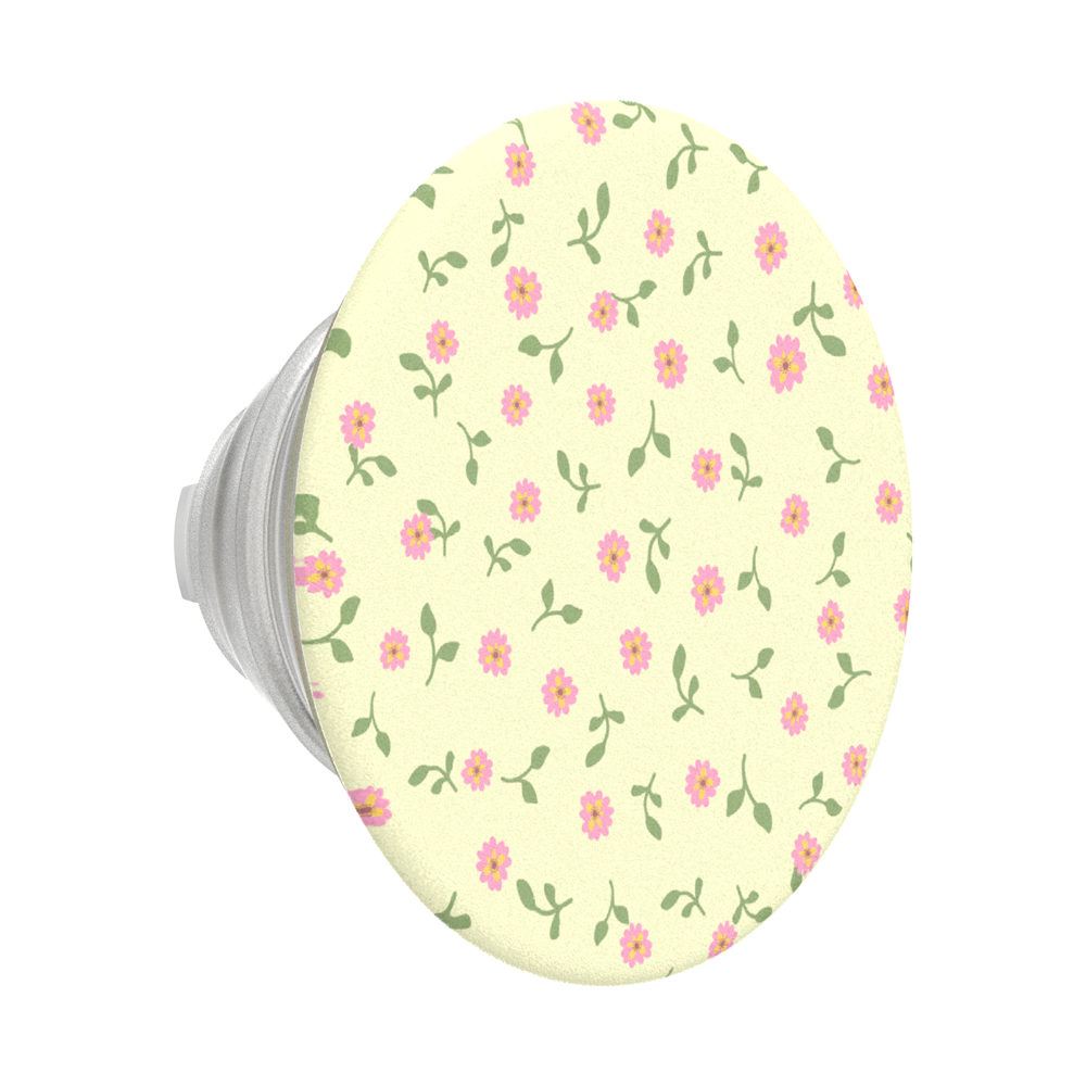 Dainty Prairie — PopTop - US 45450