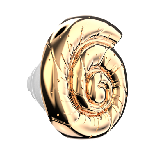 Enamel Nautilus Shell — PopTop - US 44795