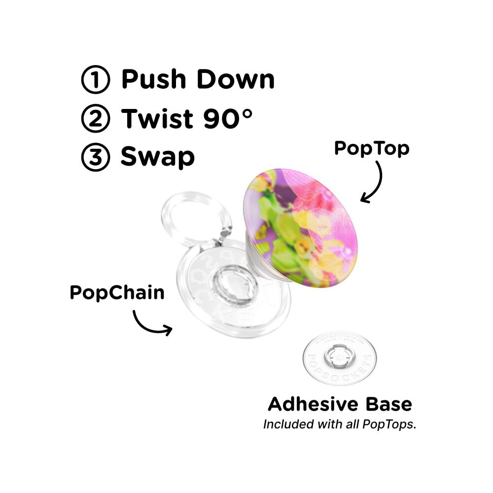 Collage Fleur — PopTop - US 59916