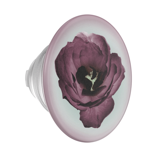 Mauve Reverie — PopTop - US 83504