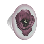 Mauve Reverie — PopTop - US 89826