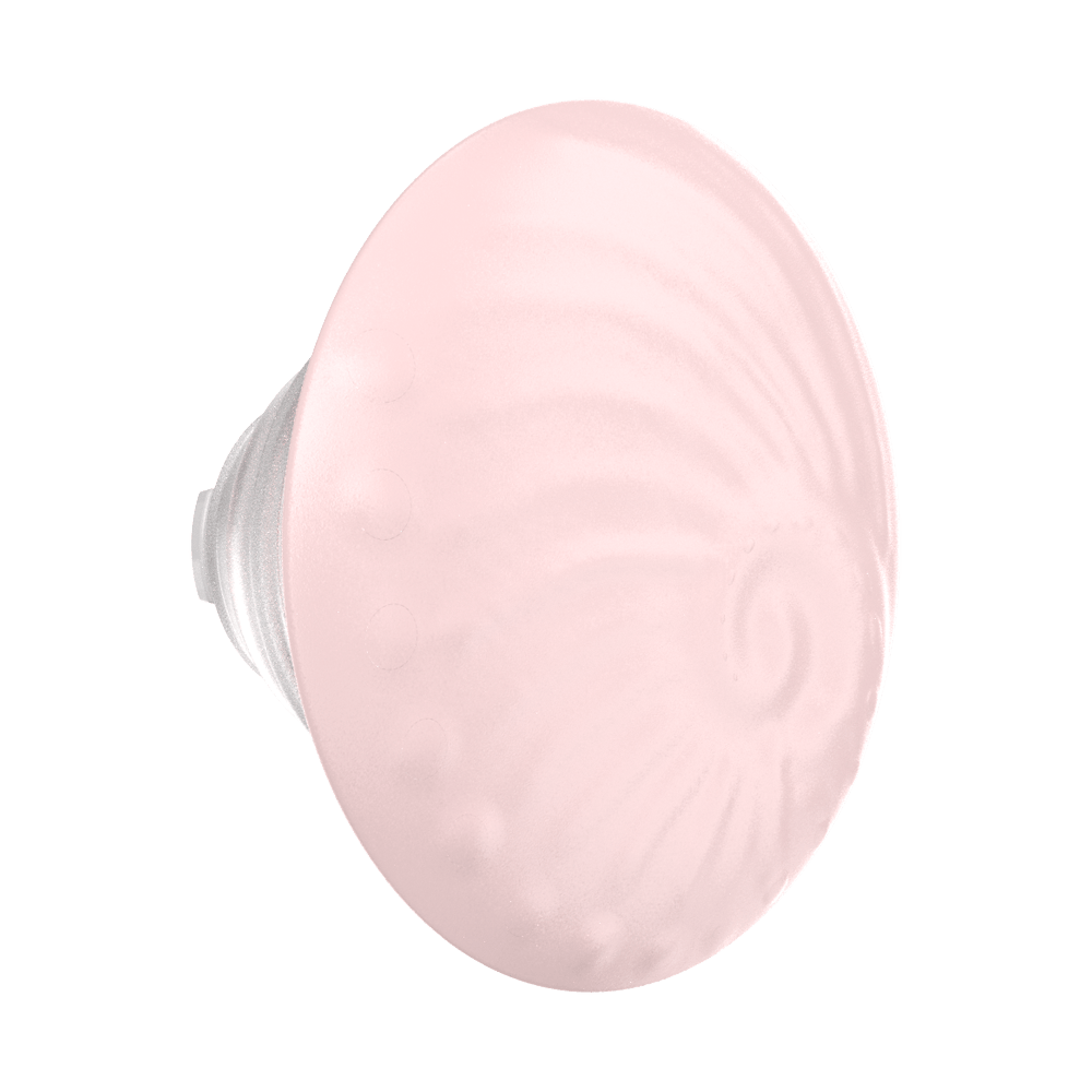 PopOut Fossil — PopTop - US 56873
