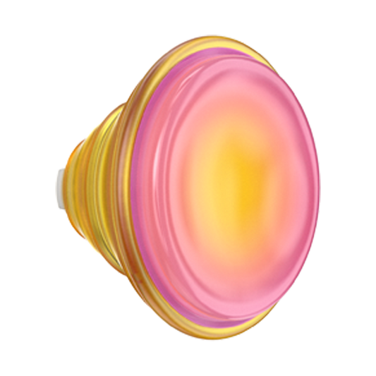 Jelly Sunni B — PopTop - US 77372