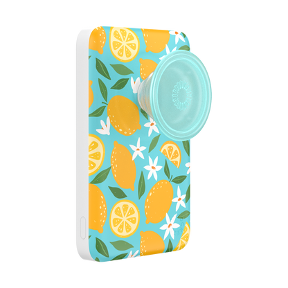 Lemon Squeezy — MagSafe PowerPack - US 20122