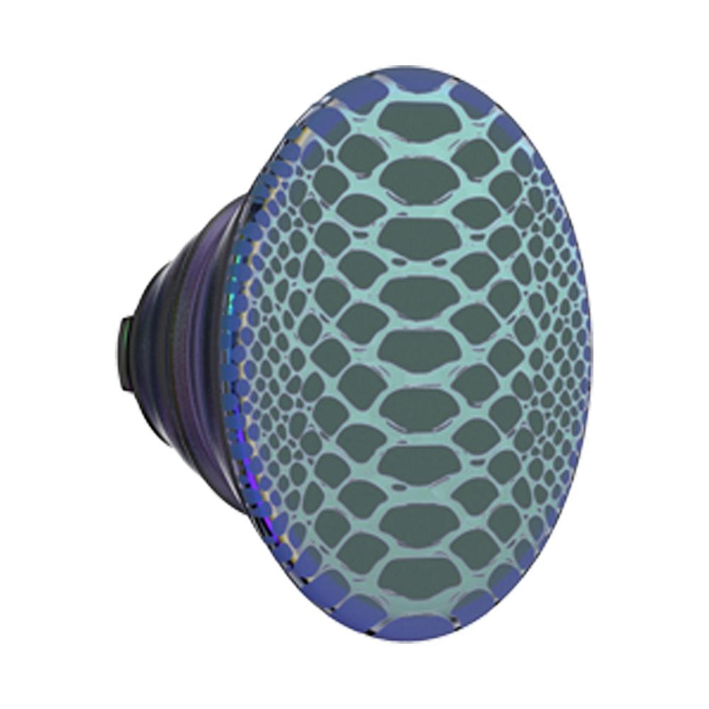 Scales — PopTop - US 99992