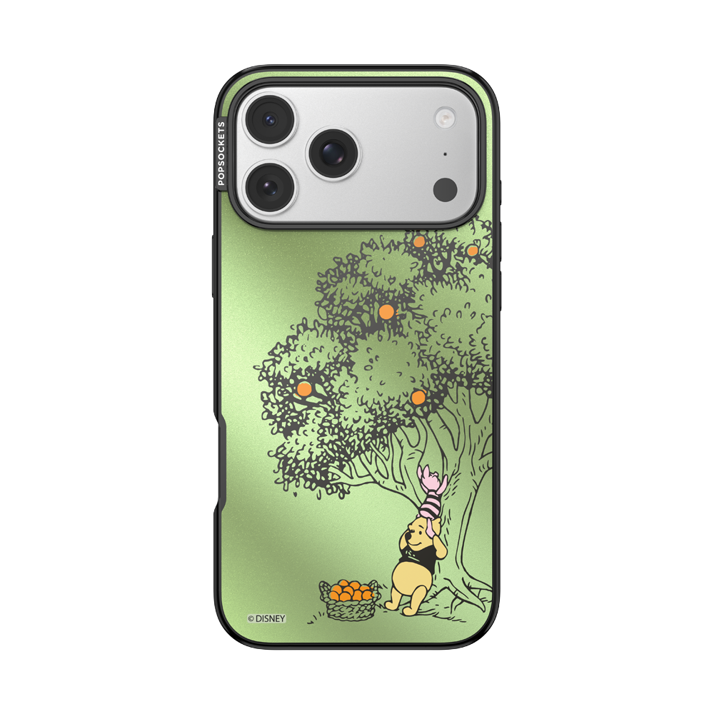 100 Acre Wood — iPhone 17 Pro Max MagSafe Case - US 38178