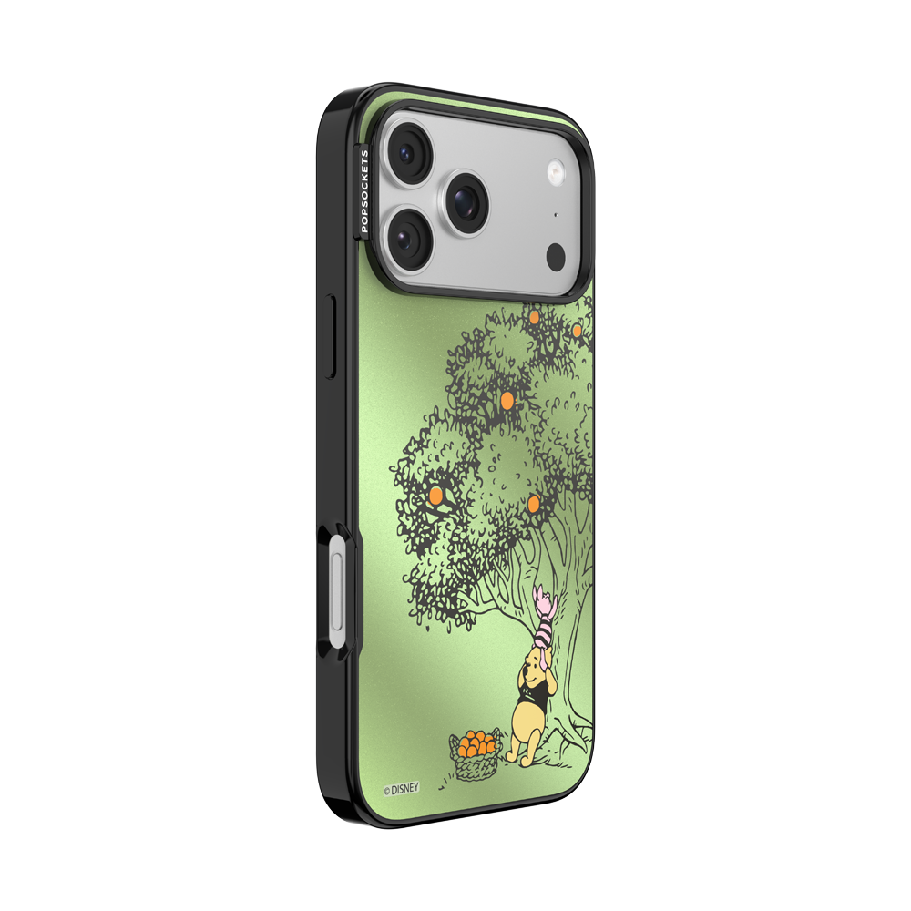100 Acre Wood — iPhone 17 Pro Max MagSafe Case - US 96953