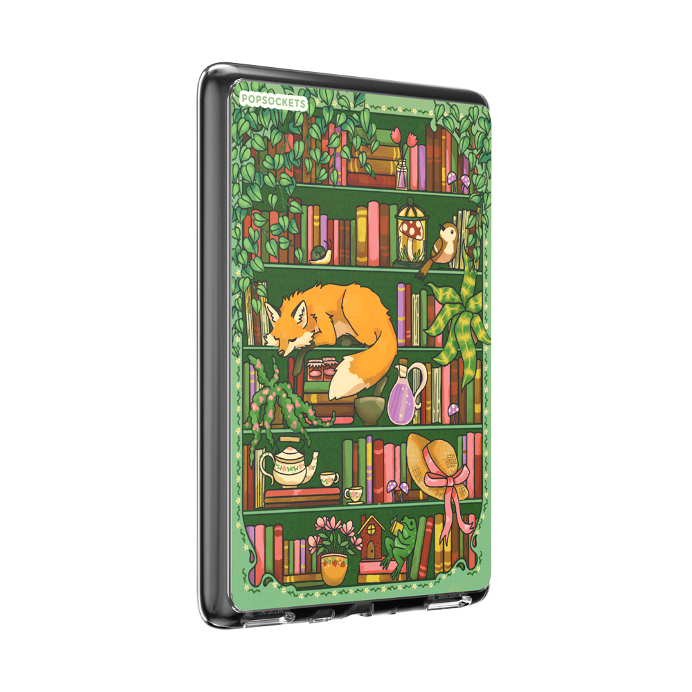 Enchanted Shelves — Kindle 11th Gen MagSafe Case - US 99241