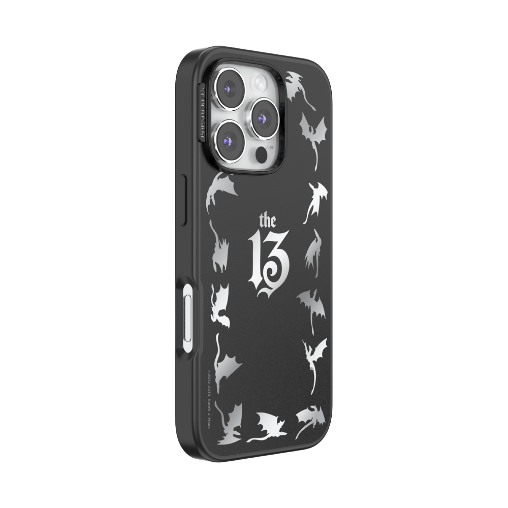 Mirror The 13 — iPhone 16 Pro MagSafe Case - US 15244