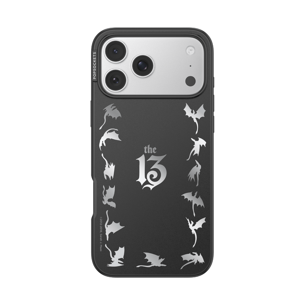 Mirror The 13 — iPhone 17 Pro Max MagSafe Case - US 74909