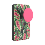 Mask Plant — MagSafe PowerPack - US 04894