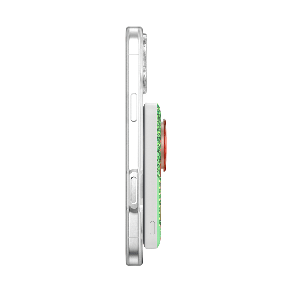 Storied Shelves Green — MagSafe PowerPack - US 74737