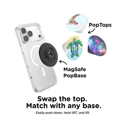 Tortuga — PopTop - US 58351